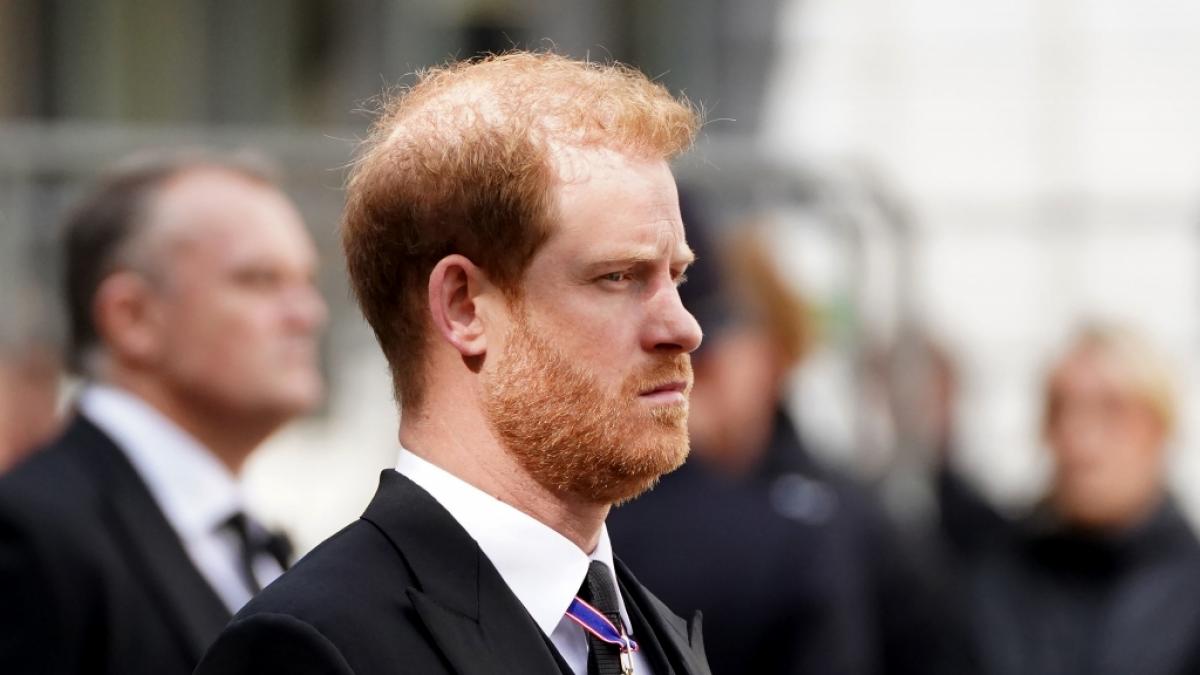 Wird Prinz Harry in acht Jahren tats&auml;chlich K&ouml;nig von Gro&szlig;britannien? (Foto)