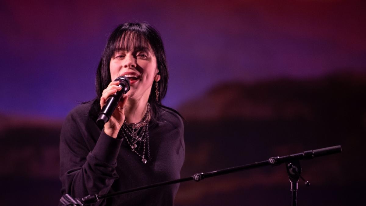 Billie Eilish trauert um ihre geliebte H&uuml;ndin. (Foto)
