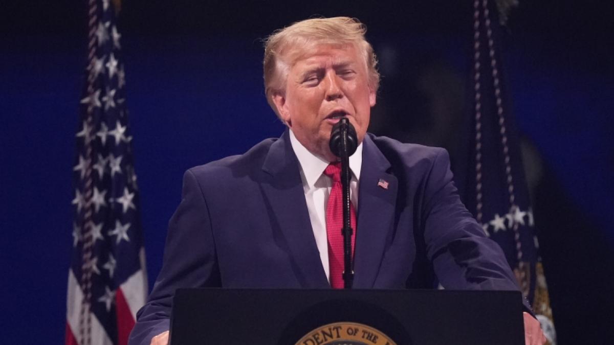 Donald Trump w&auml;hrend seiner Rede&nbsp;zum Unabh&auml;ngigkeitstag zu Ehren des 250. Jahrestags der Nation. (Foto)