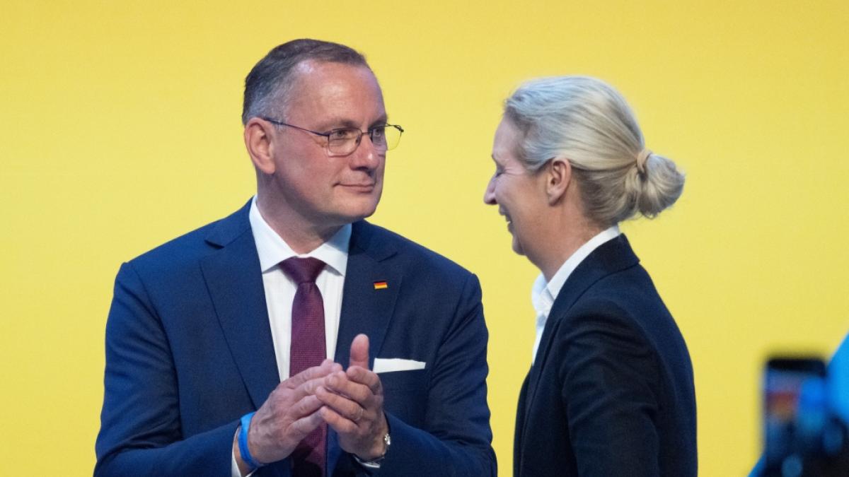 Beim AfD-Parteitag zeigen Tino Chrupalla und Alice Weidel Einigkeit. (Foto)
