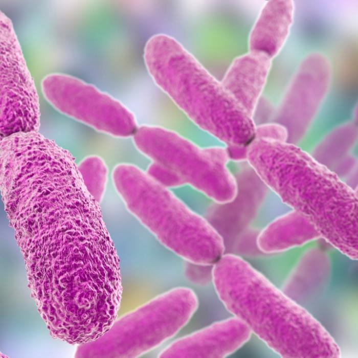 Resistent gegen Antibiotika! Killer-Bakterien in Griechenland auf dem Vormarsch