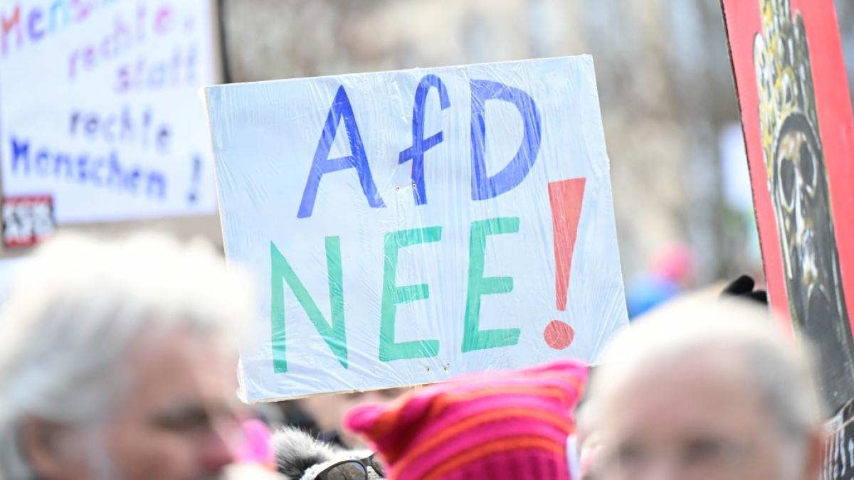 Gegen die menschen- und demokratieverachtende Politik der AfD gehen auch im M&auml;rz 2026 wieder bundesweit Menschen bei Demonstrationen auf die Stra&szlig;e. (Foto)