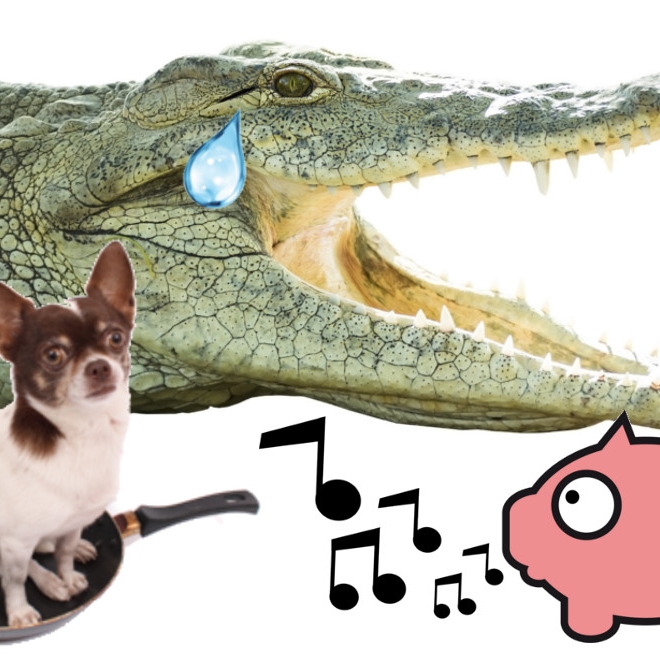 Daher kommen DIESE tierischen Redewendungen