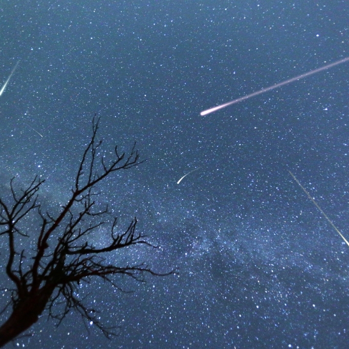Zauberhafte Lyriden: So beobachten Sie das Spektakel am Himmel