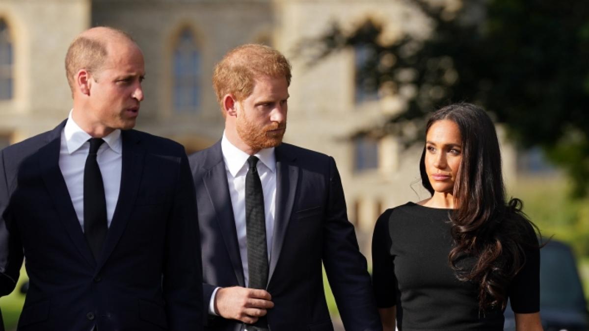 Seiner Schw&auml;gerin Meghan Markle traute Prinz William offenbar von Anfang an nicht &uuml;ber den Weg - besonders um Prinzessin Dianas Schmuck soll sich der Thronfolger gesorgt haben. (Foto)