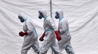 In einer nahe der Grenze zu Sachsen gelegenen tschechischen Hühnerfarm ist das Vogelgrippe-Virus des potenziell auch auf den Menschen übertragbaren Subtyps H5N1 nachgewiesen worden.