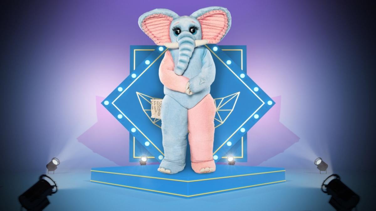 Einfach herzig: Der Frotteefant fristete sein Dasein vor "The Masked Singer" 2023 als ein Stapel alter Handt&uuml;cher. (Foto)