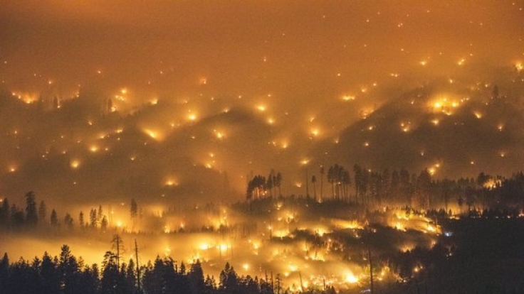 Die Feuer im Yosemite-Nationalpark verschlangen 330 Quadratkilometer Wald.