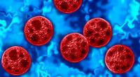 Die amerikanische Gesundheitsbehörde warnt vor der vermehrten Ausbreitung des Parasiten Cyclospora cayetanensis in den USA, vor allem in Michigan.