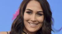 Brie Bella zeigt nicht nur im Ring ganz schön viel Haut.