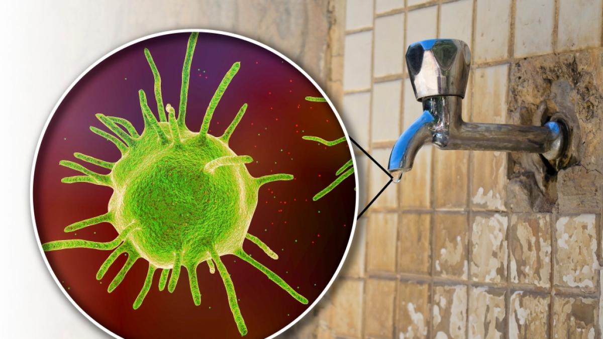 Ein kleiner Junge aus dem US-Bundesstaat Nevada infizierte sich beim Planschen mit Naegleria fowleri - wenig sp&auml;ter war der Zweij&auml;hrige tot. (Foto)