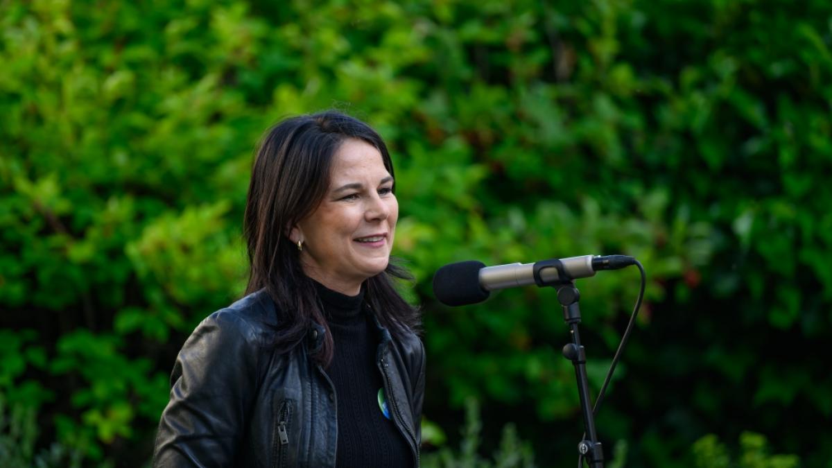 Annalena Baerbock polarisiert mit ihrer Social-Media-Strategie. (Foto)