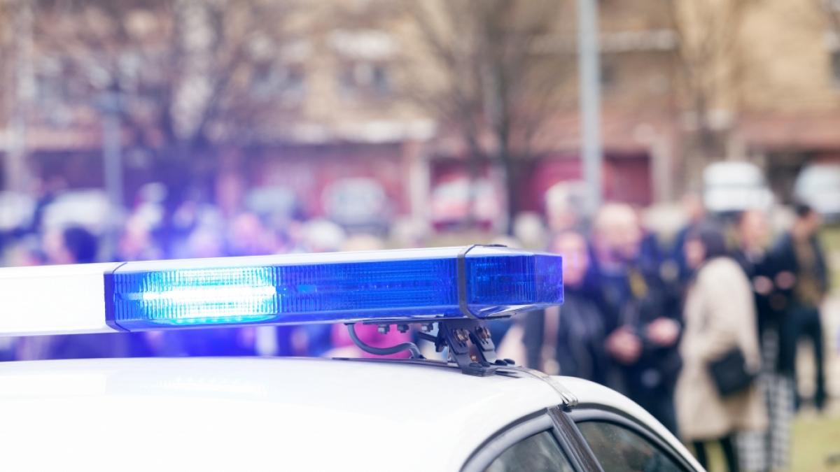 Raub f&uuml;r das Presseportal (Foto)