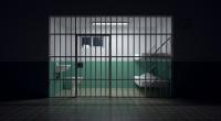 Nach dem Mord an seiner Studentin soll ihr Mörder live im TV hingerichtet werden.