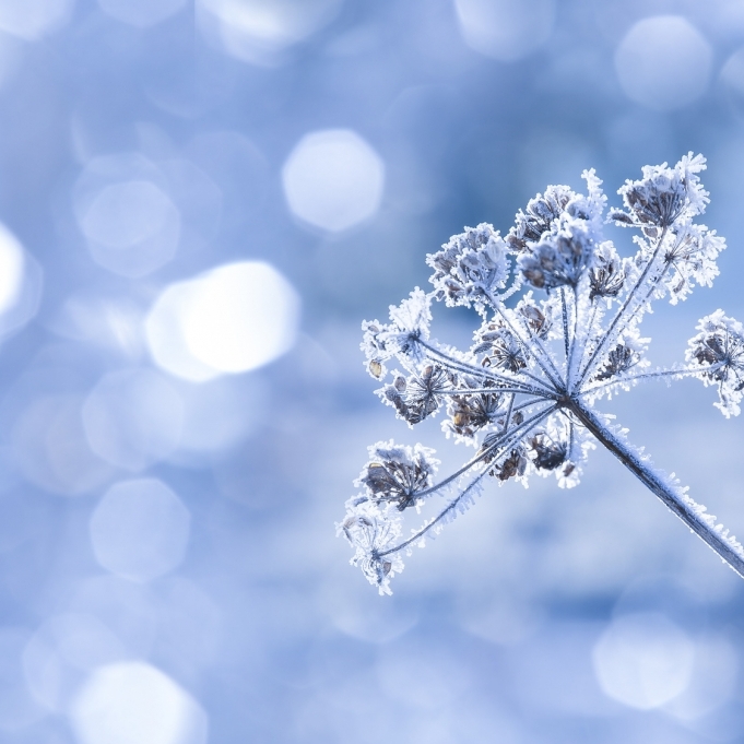 Wetter-Prognose: So wird der Winter 2015
