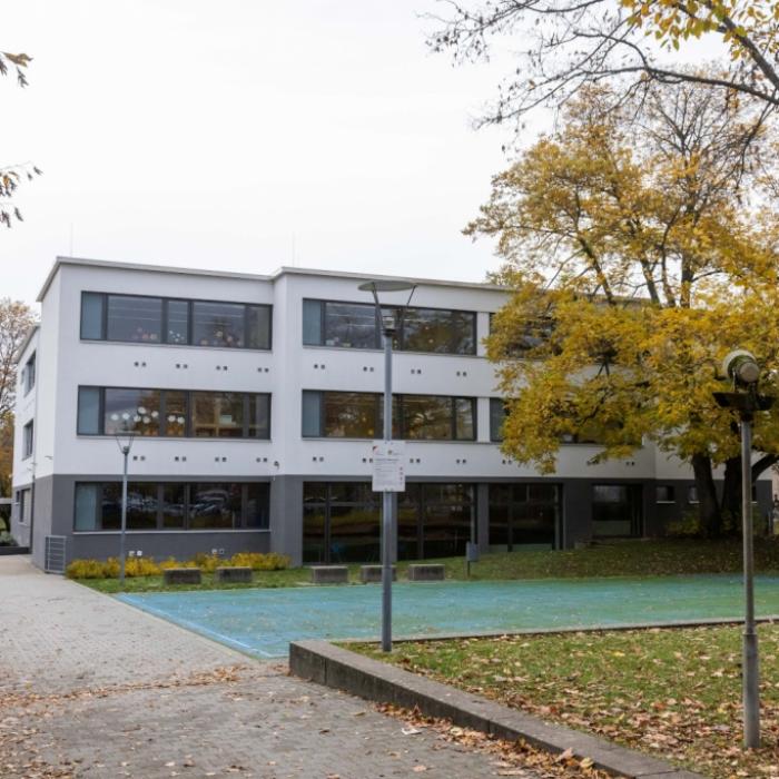 Ausufernde Gewalt auf dem Schulhof - AfD-Anfrage offenbart Schock-Zahlen