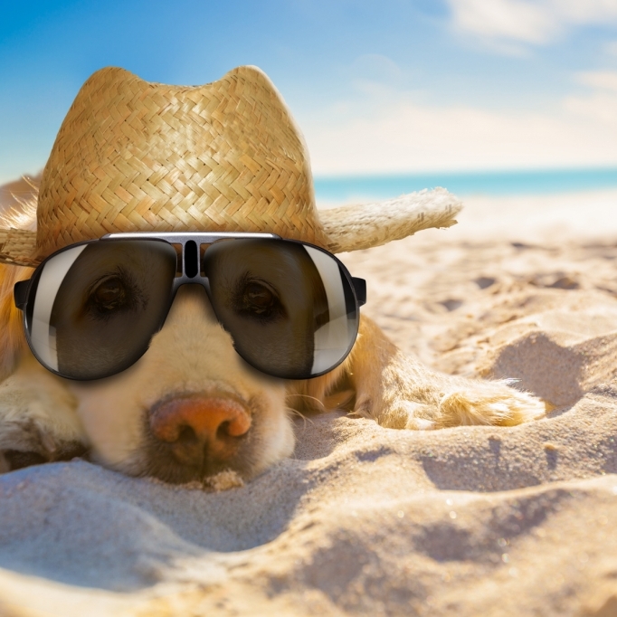 Hundertjähriger Kalender: So wird das Sommerwetter in Deutschland