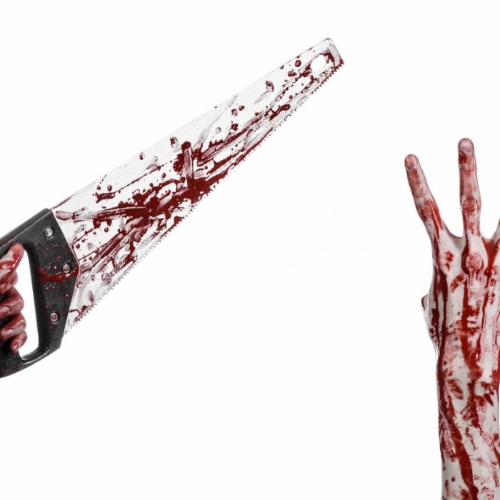 Frau zerstückelt ihren Mitbewohner nach Haustier-Mord