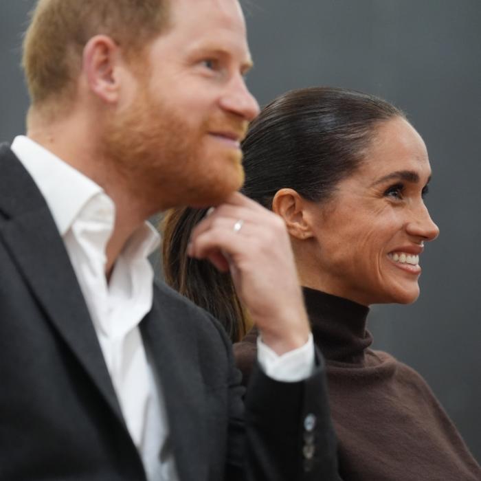 Sussexes kennen 