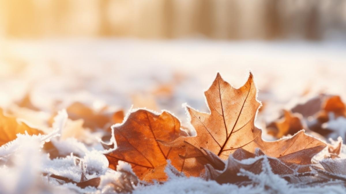Wie wird das Wetter im November? (Foto)