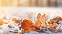 Wie wird das Wetter im November?