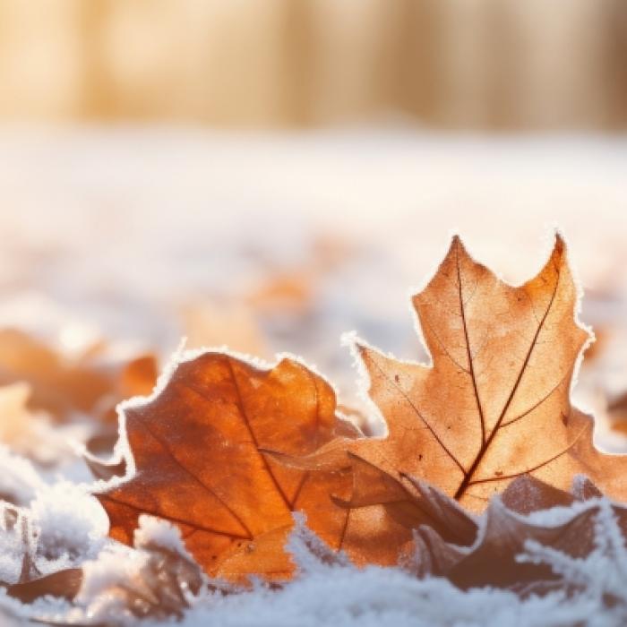 Winter-Klatsche mitten im November? Das sagt der 100-jährige Kalender