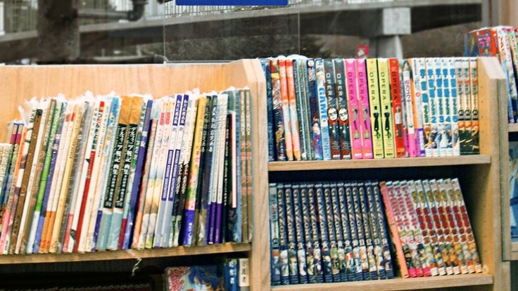 Japanische Mangas erfreuen sich auch in Deutschland einer großen Fangemeinde.