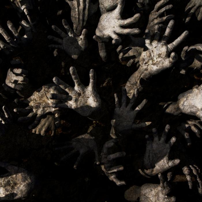 Zombie-Apokalypse durch Killerpilze! Wissenschaftler warnen vor Horror-Szenario