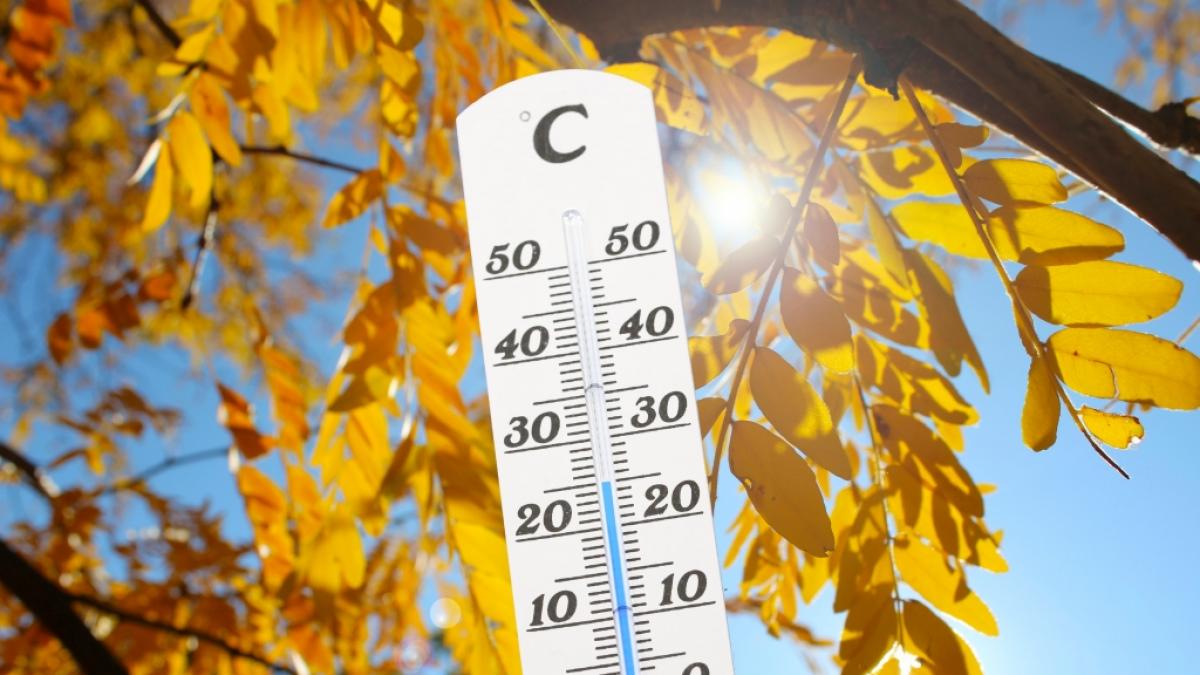 Kann sich Deutschland an den kommenden Tagen auf 25 Grad freuen? (Foto)