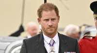 Eine Behörde behauptet, dass Prinz Harry bei seinem Visumsantrag gelogen haben könnte.