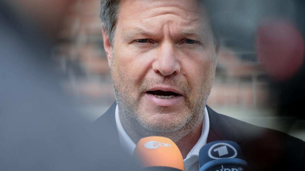 Robert Habeck rechnet mit drastisch steigenden Gas-Preisen. (Foto)