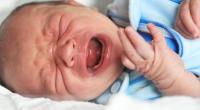 Ein Affe tötete ein Baby in Indien.