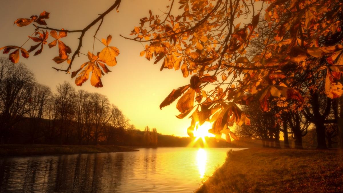 Deutschland kann sich schon bald wieder auf sommerliche Temperaturen freuen. (Foto)