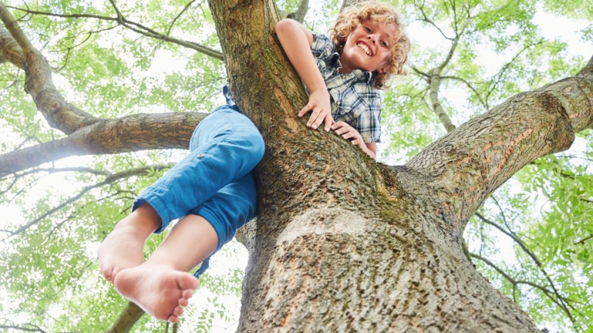 Ein 11-J&auml;hriger hat sich bei einem Horror-Sturz drastisch verletzt. (Foto)