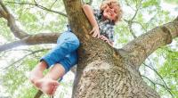 Ein 11-Jähriger hat sich bei einem Horror-Sturz drastisch verletzt.