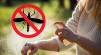 Mit wenigen Zutaten können Sie sich ein Anti-Mücken-Spray mischen.