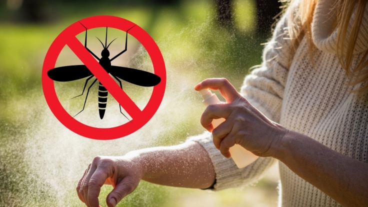 Mit wenigen Zutaten können Sie sich ein Anti-Mücken-Spray mischen.