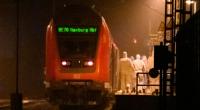 In einer Regionalbahn zwischen Hamburg und Kiel kam es am Mittwoch zu einer tödlichen Messerattacke.