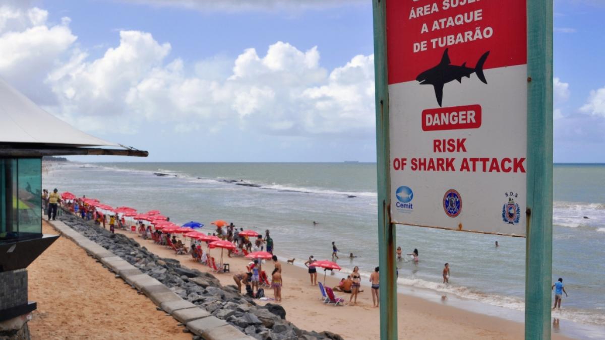 Am Piedade-Strand in Brasilien ist ein Mann im flachen Wasser von einem Hai angegriffen und t&ouml;dlich verletzt worden (Symbolbild). (Foto)