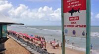 Am Piedade-Strand in Brasilien ist ein Mann im flachen Wasser von einem Hai angegriffen und tödlich verletzt worden (Symbolbild).
