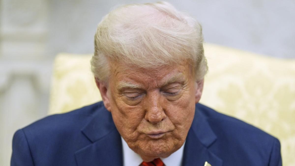 Donald Trump glaubt, die Zolleinnahmen k&ouml;nnten die Einkommenssteuer ersetzen. (Foto)