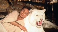 Die aufsehenerregendste Tigerattacke fand in Las Vegas statt. Die Tiger-Magier Siegfried  Roy standen wie jedem Abend auf der Bühne. Doch ausgerechnet an seinem 59. Geburtstag wurde Roy von seinem Tiger Montercore angegriffen.