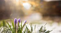 Wie soll das Wetter im März 2025 werden?