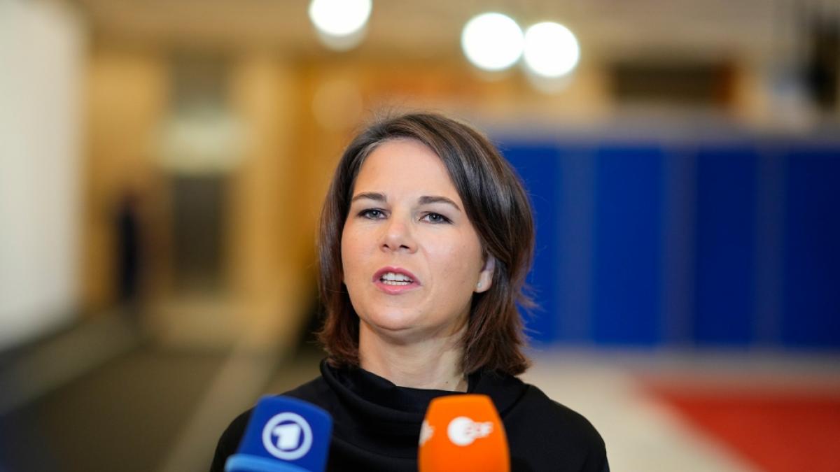 Annalena Baerbock sorgt mit einer Aussage bei einer Podiumsdiskussion f&uuml;r Aufruhr. (Foto)
