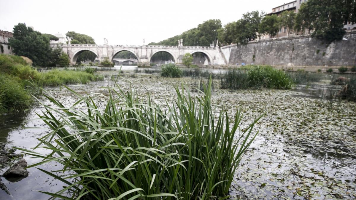 Die D&uuml;rre in Italien wird immer dramatischer. (Foto)