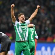 Transfer-Gerüchte um Niclas Füllkrug reißen nicht ab.