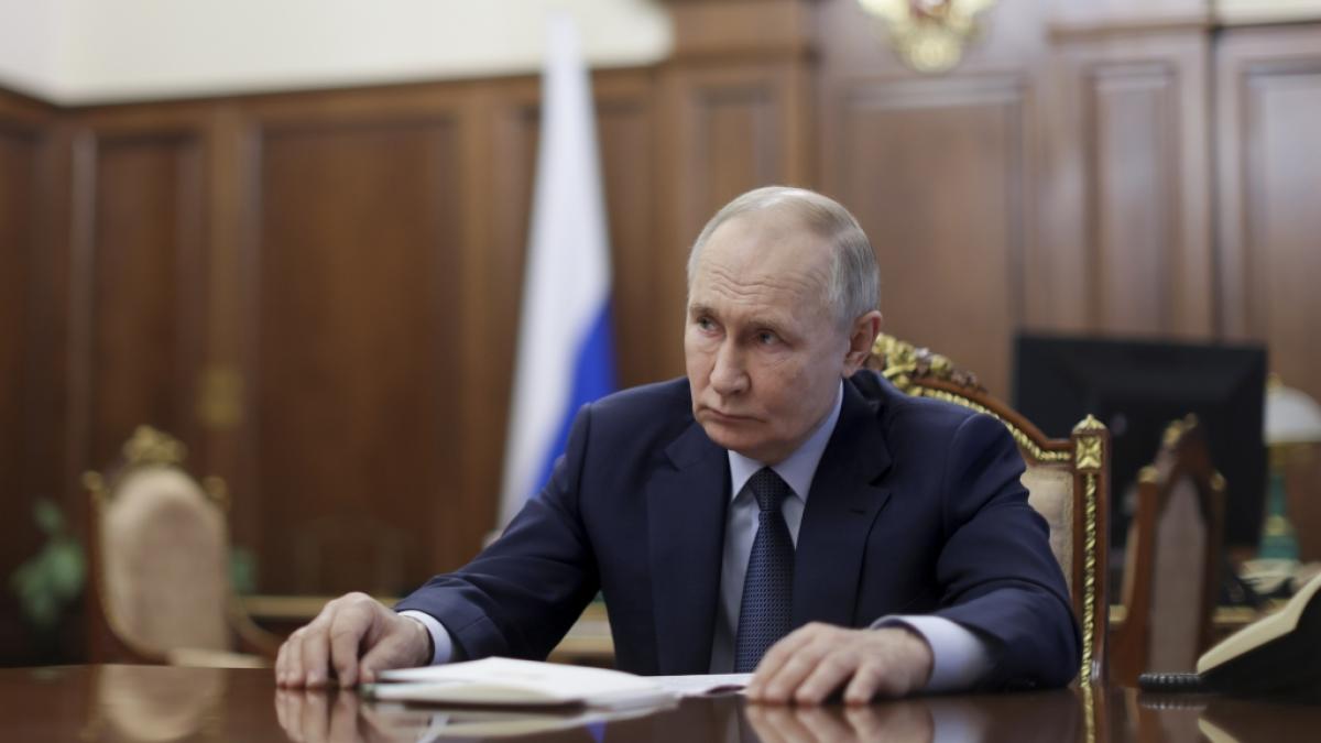 Donald Trumps Verbal-Angriff auf Wolodymyr Selenskyj lie&szlig; Wladimir Putin noch jubeln - nun bahnt sich in Europa eine neue Milit&auml;r-Union an, die dem Kreml-Chef nicht schmecken d&uuml;rfte. (Foto)
