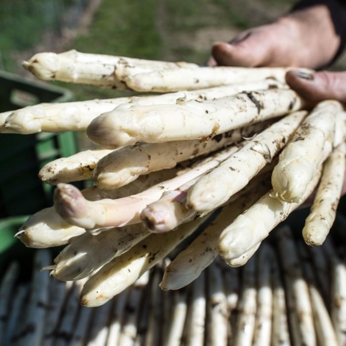 Was haben Spargel und Rhabarber mit diesem Feiertag gemeinsam?