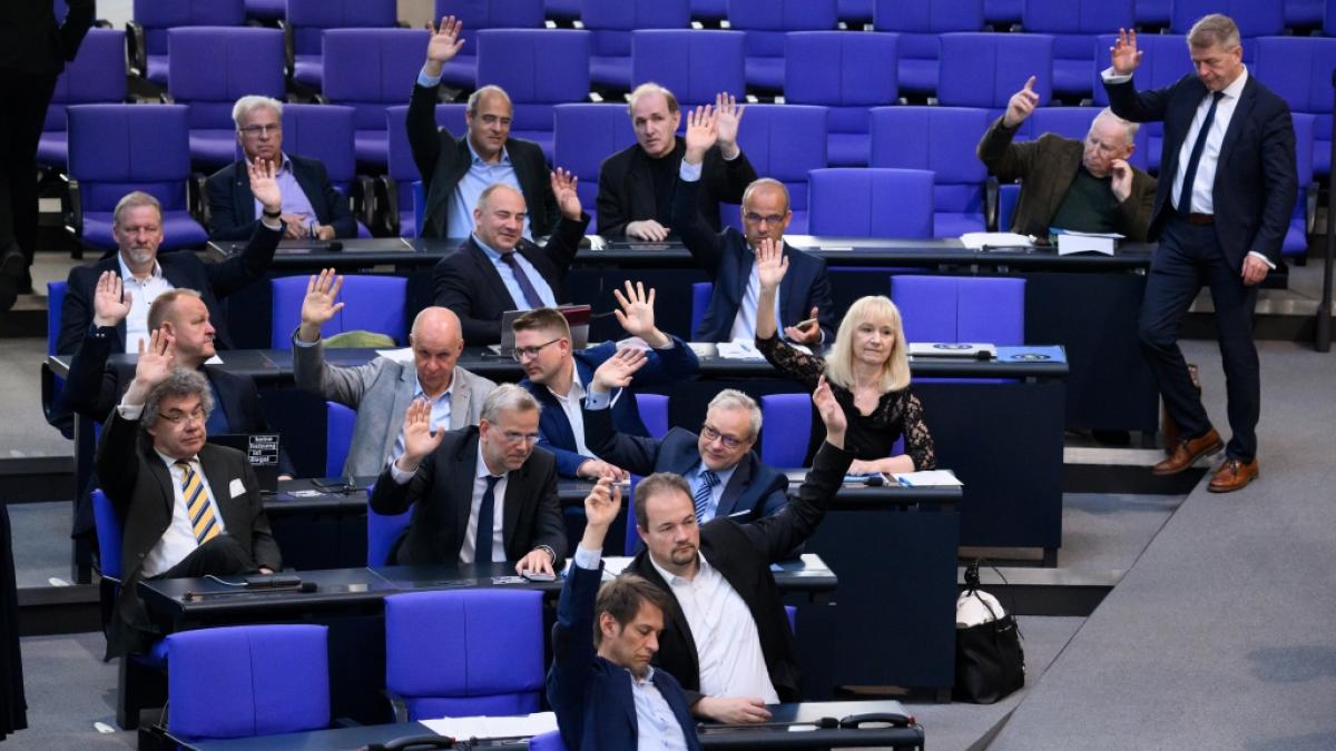 Die AfD-Bundestagsfraktion stimmt bei einer Plenarsitzung ab. Warum ist die Partei aktuell so erfolgreich? (Foto)