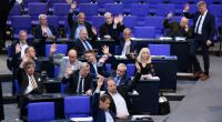 Die AfD-Bundestagsfraktion stimmt bei einer Plenarsitzung ab. Warum ist die Partei aktuell so erfolgreich?